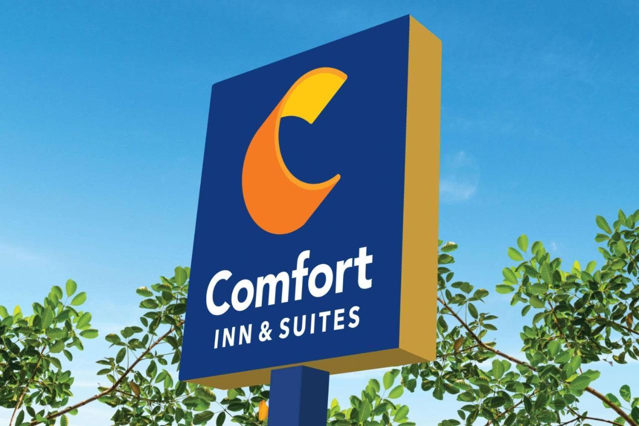 Comfort Inn & Suites Munising-Lakefront Buitenkant foto